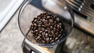 5 Best Coffee Grinders in 2022 Baratza Encore, Baratza Virtuoso Plus, Breville Smart Grinder Pro, Cuisinart DBM-8, KRUPS Precision